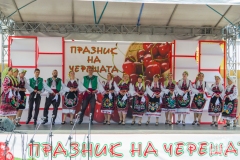 Cherry-festival-5