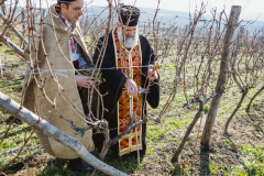 Bulgaria traditions