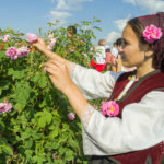 where to go in bulgaria Rose Festival Bulgaria